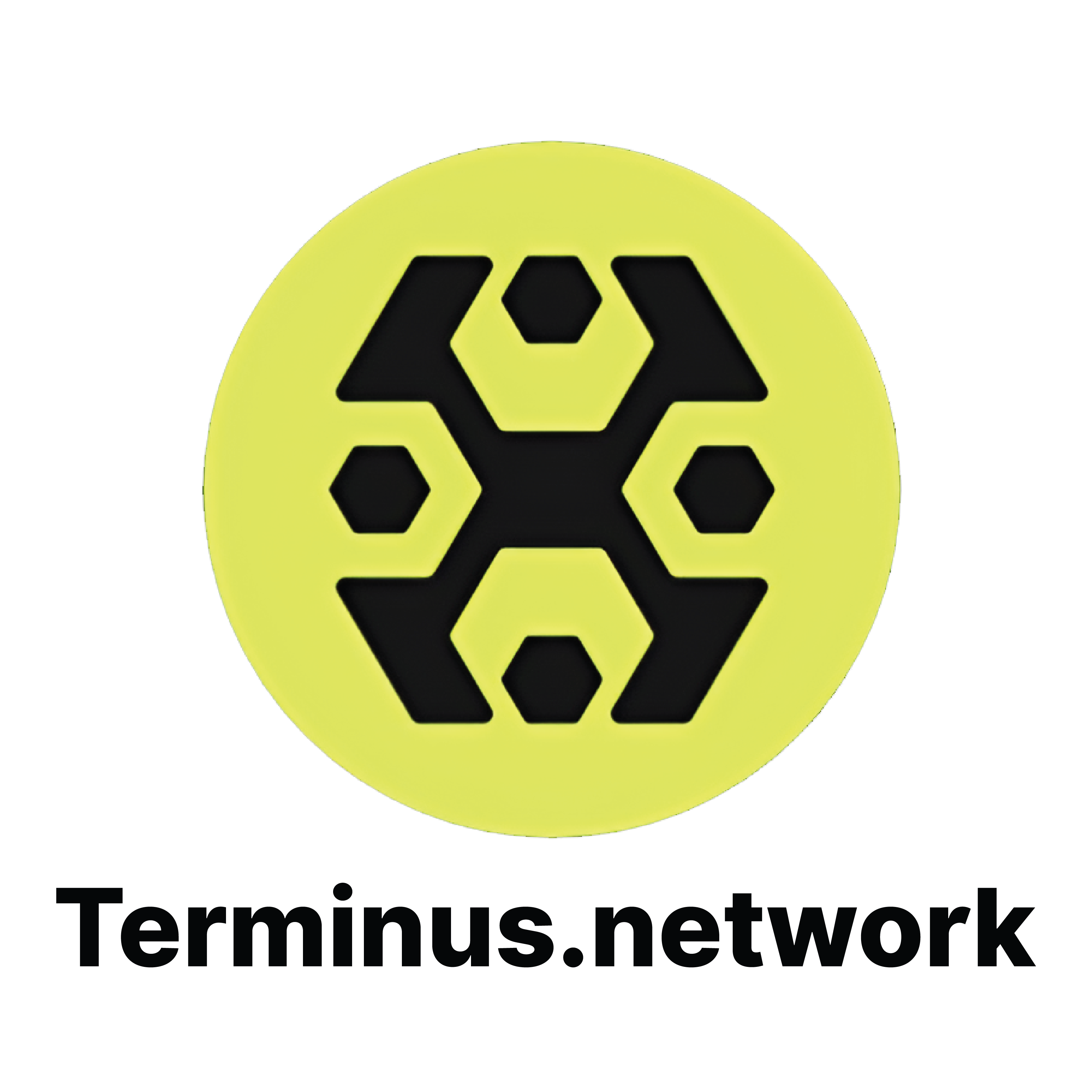 Terminus network